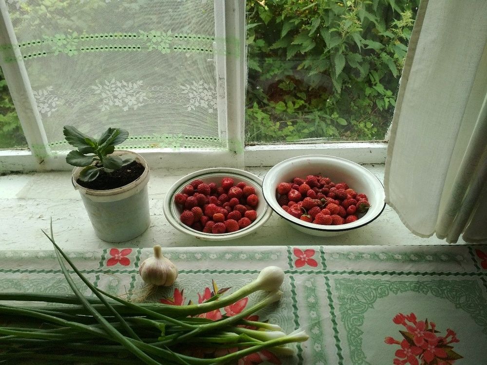 Photograph by Анна Копанева