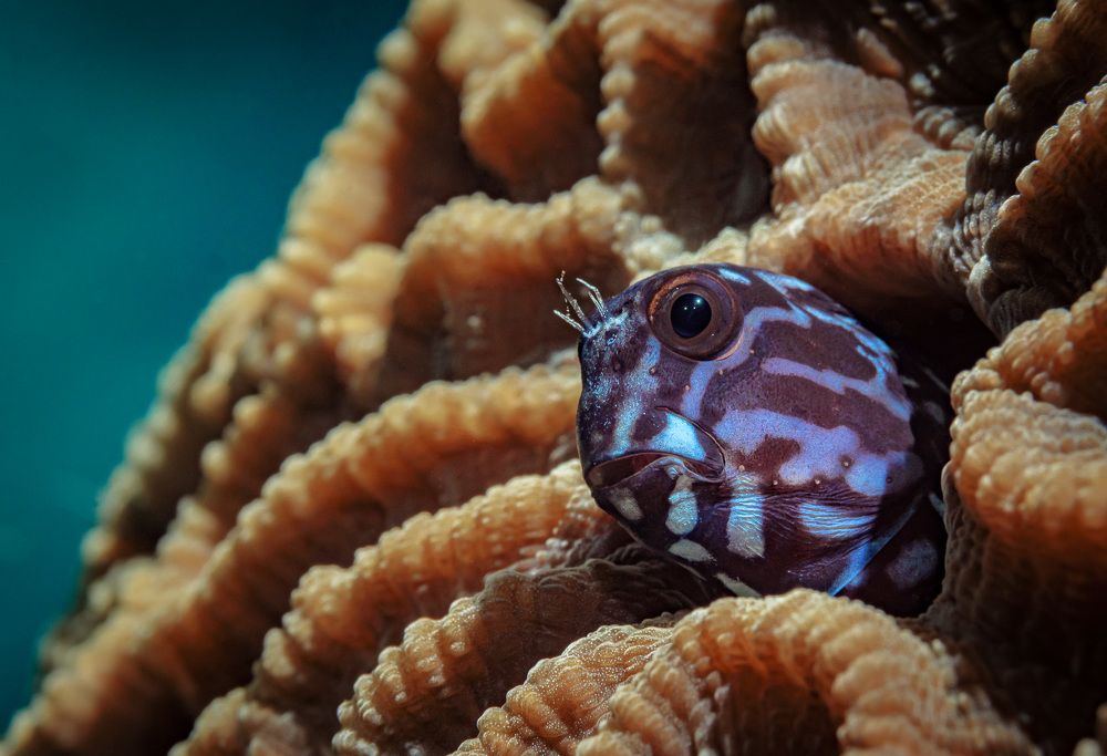 Photograph by Андрей Савин