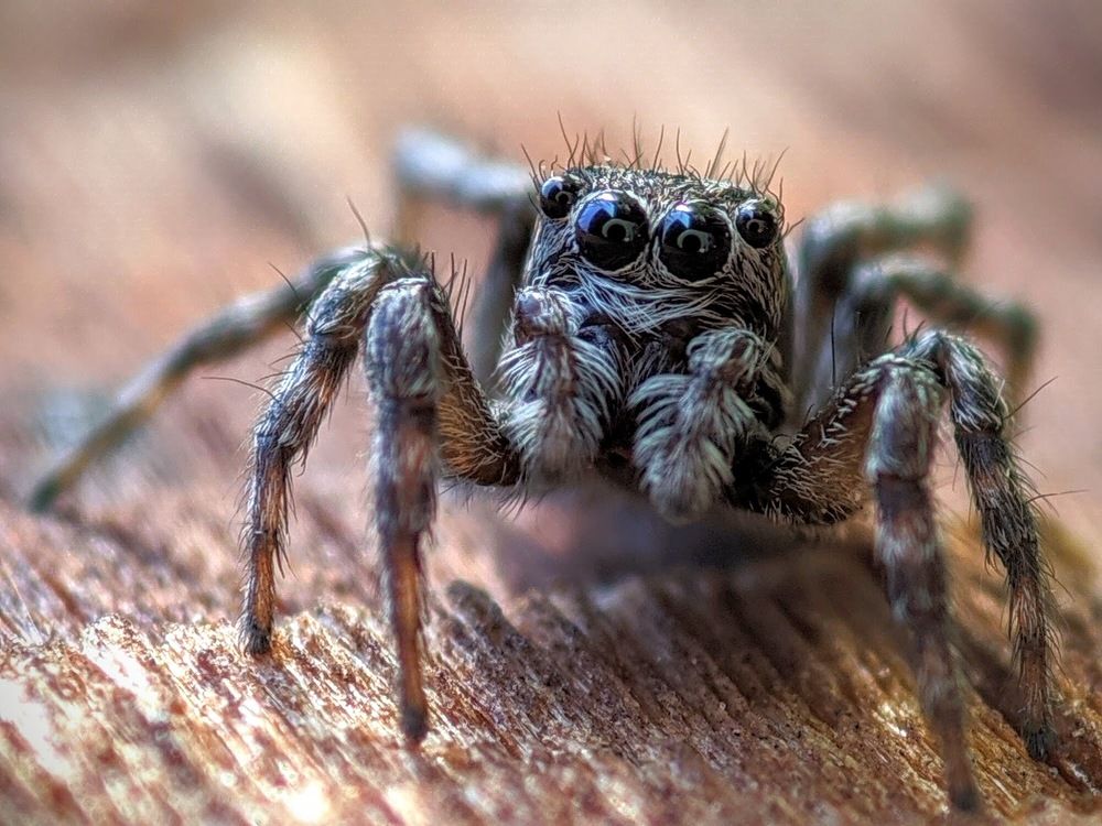 Какой ты большой!