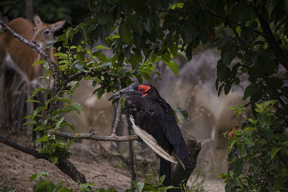 Photograph by Raivo Kremer