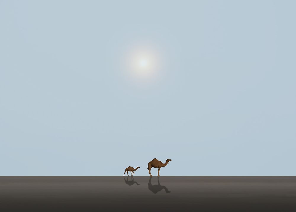 Photograph by Maryam Jafari