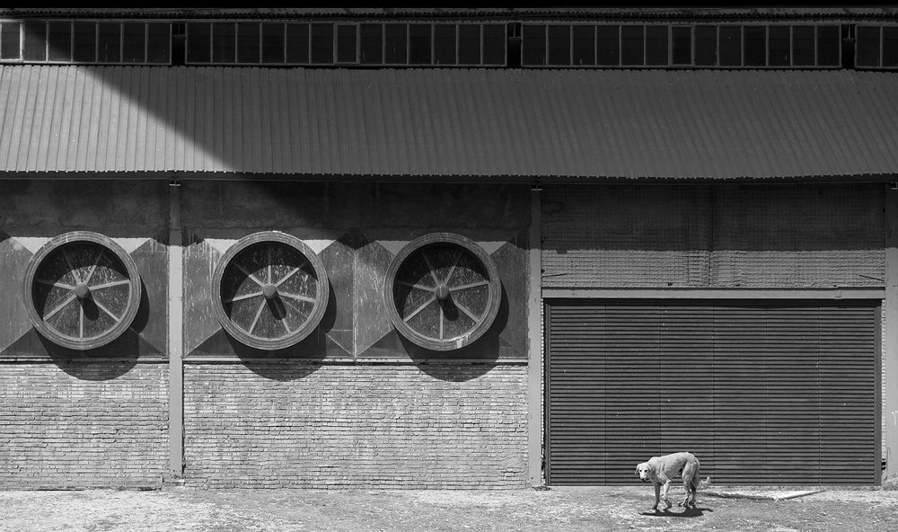 Photograph by Maryam Jafari