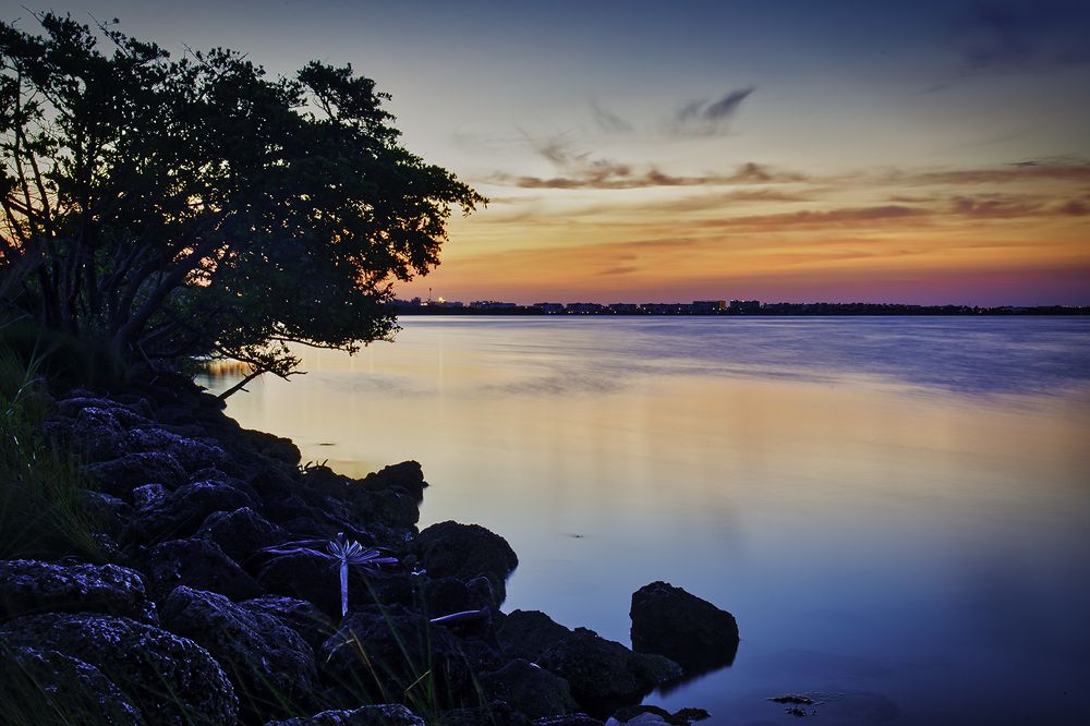 A River View
