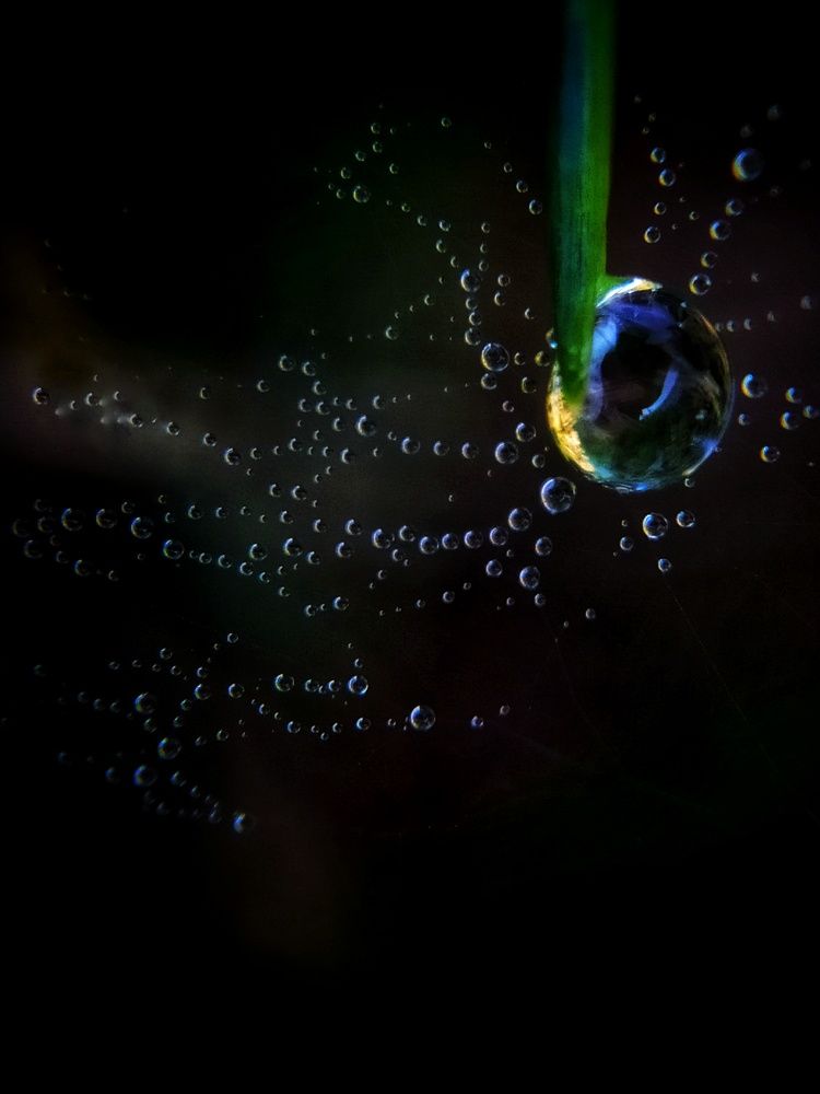 Photograph by Любовь Сухова