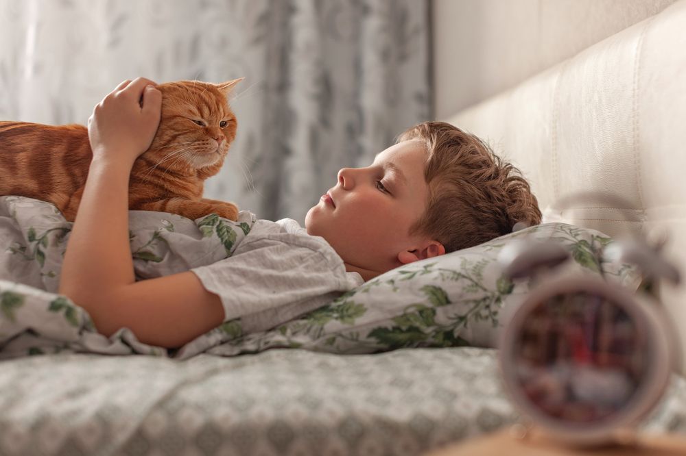 Photograph by Евгения Немчнова