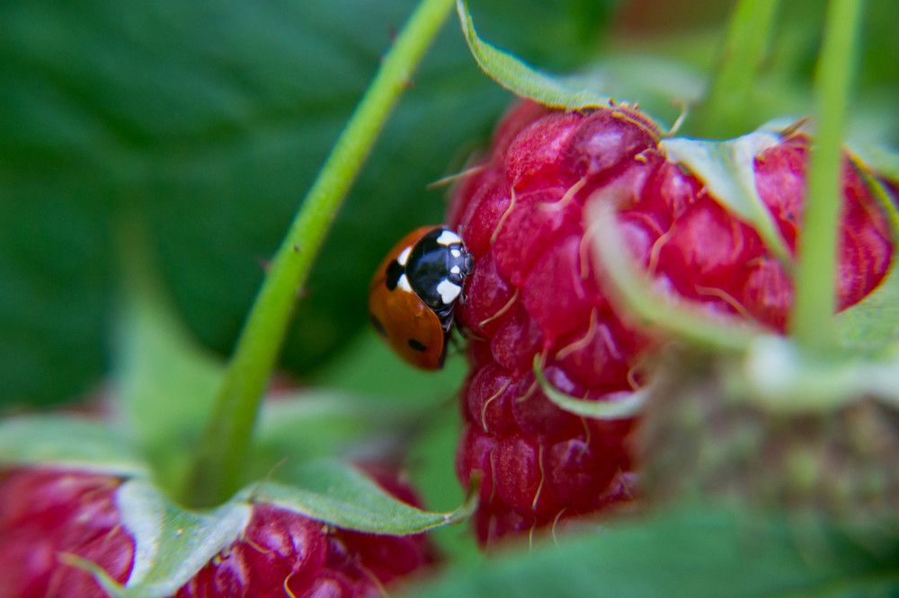 Фотография автора Юлия Кранина