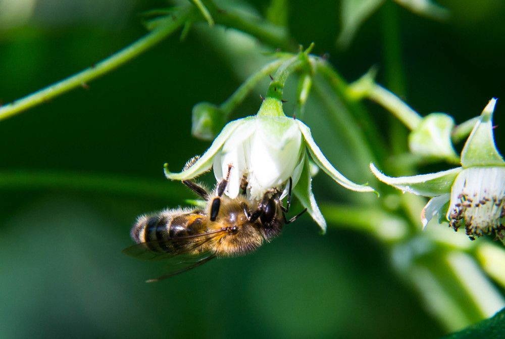 Фотография автора Юлия Кранина