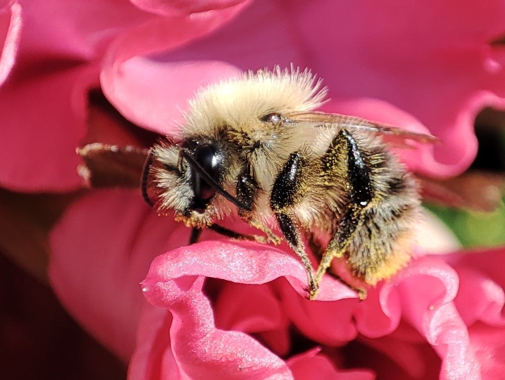 Фотография автора Юлия Кранина