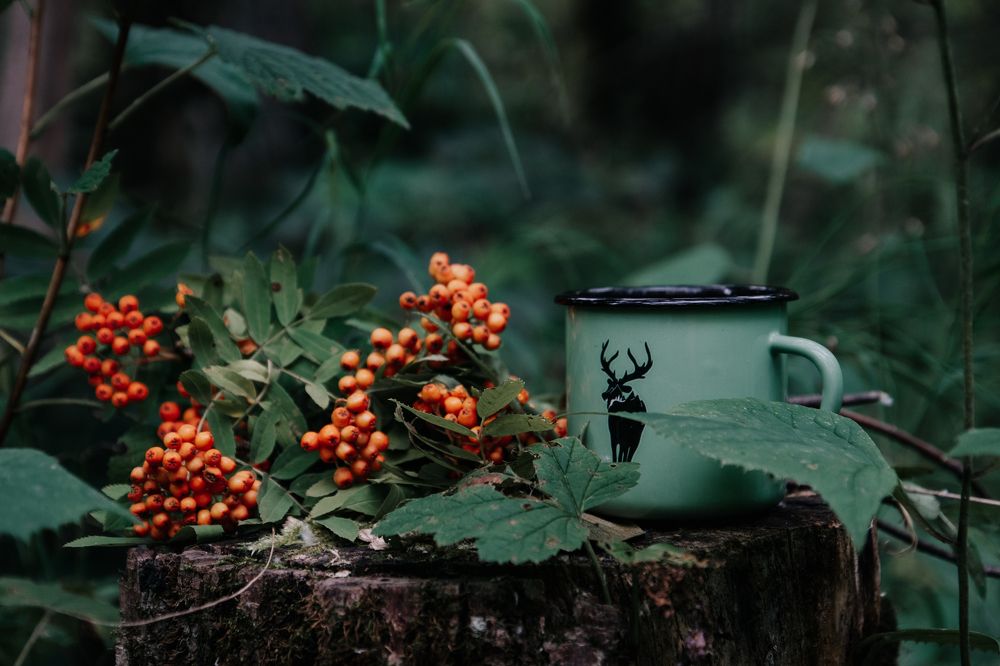 Photograph by Астафьева Ирина