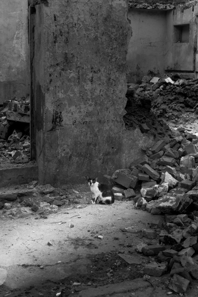 The life and the chaos