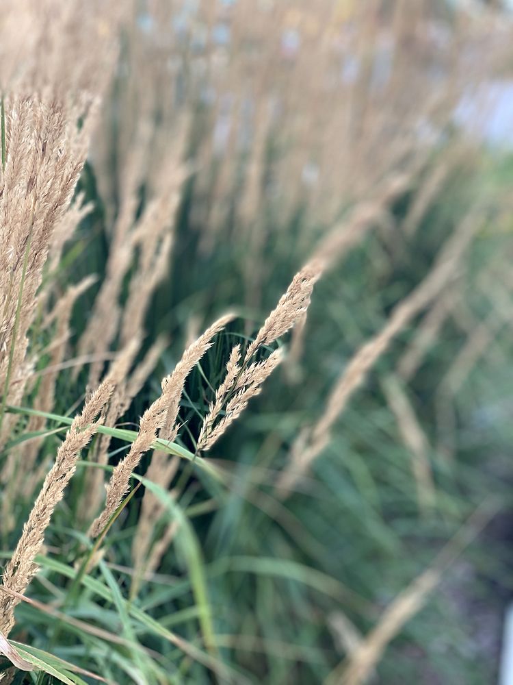 Photograph by Liliana Grup