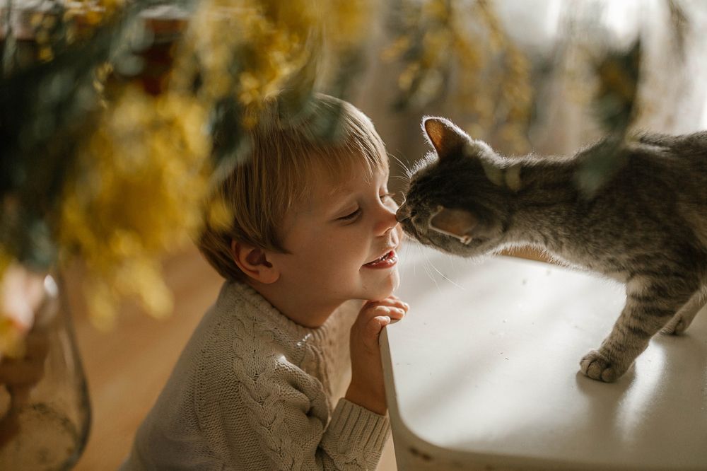 Photograph by Ольга Рязанцева