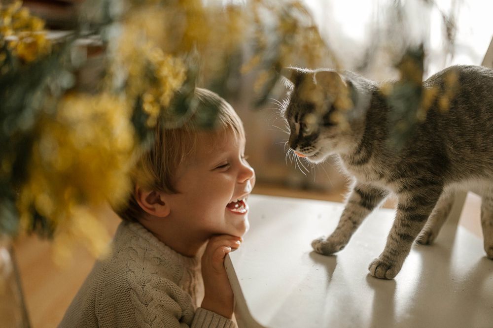 Photograph by Ольга Рязанцева