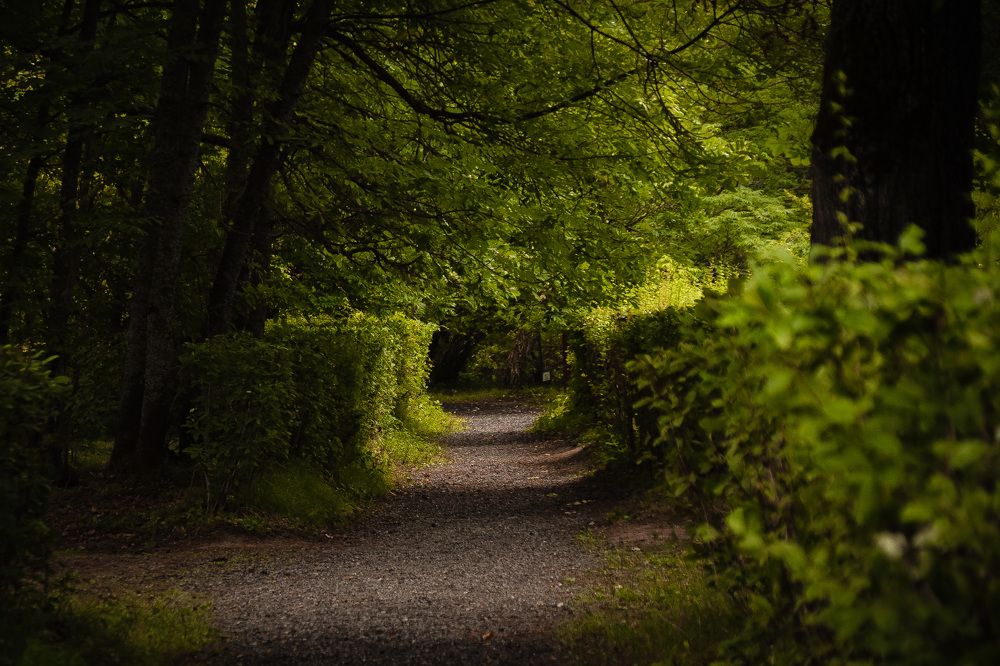 Photograph by Elvira