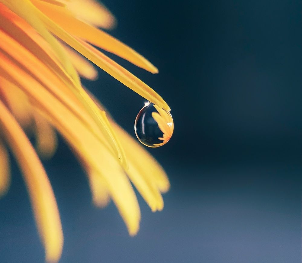 Photograph by Lien Nguyen