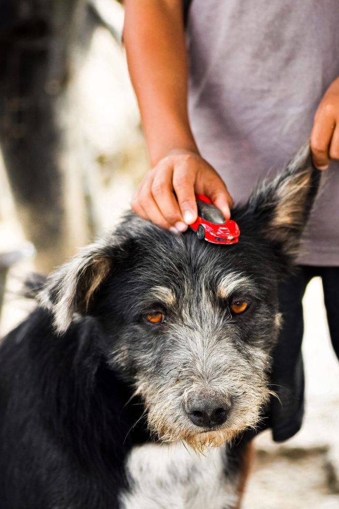 Photograph by Jerry Tsang