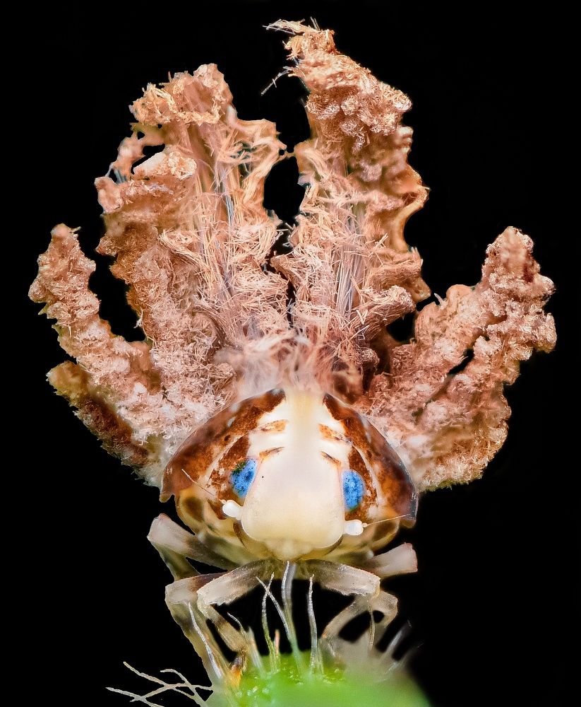 Photograph by Jerry Tsang