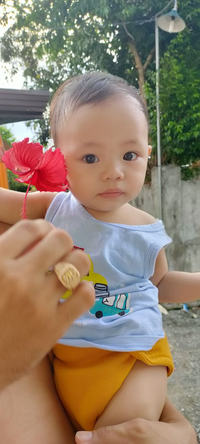 Gumamela Boy