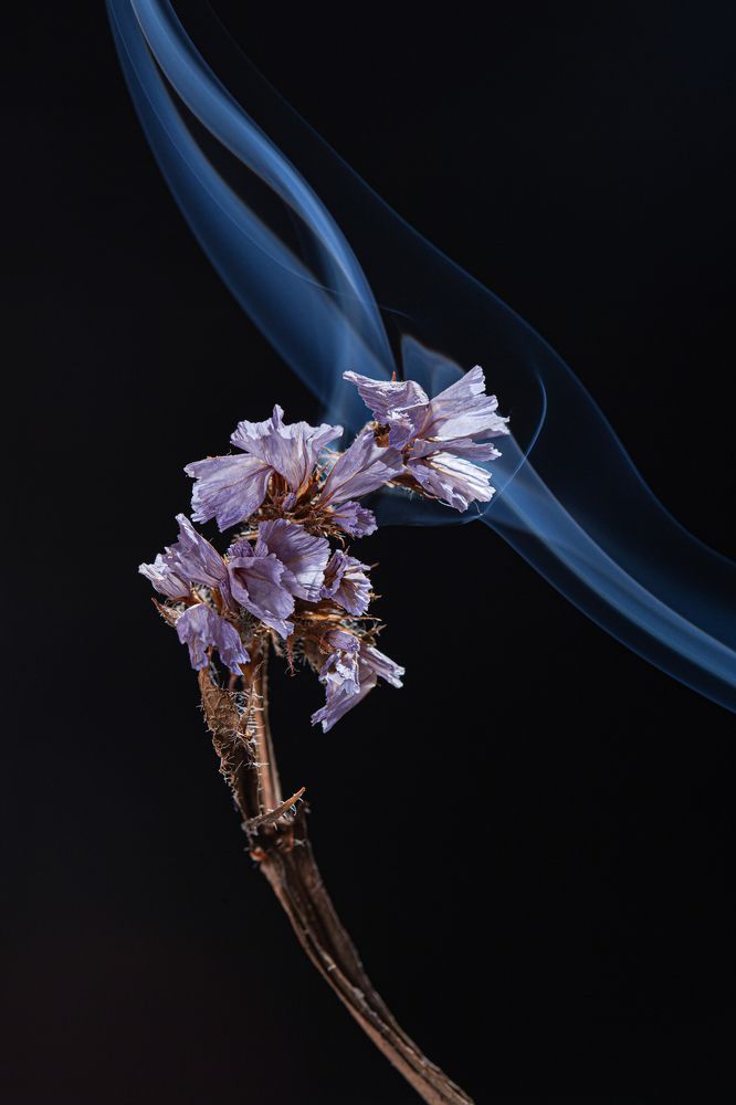 Photograph by Игорь Карпов