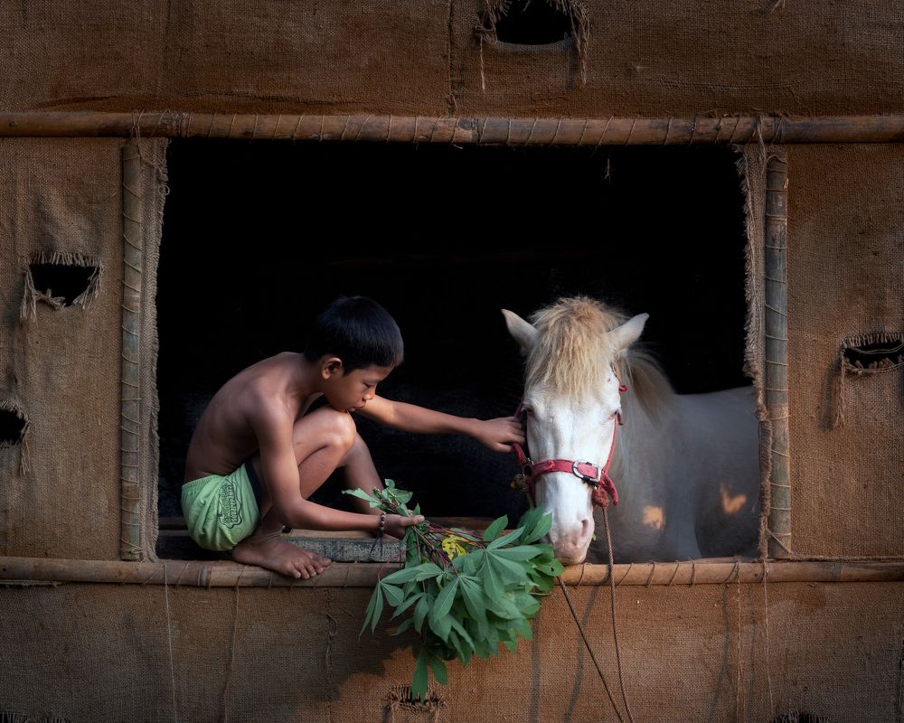 Photograph by Fira Kwan