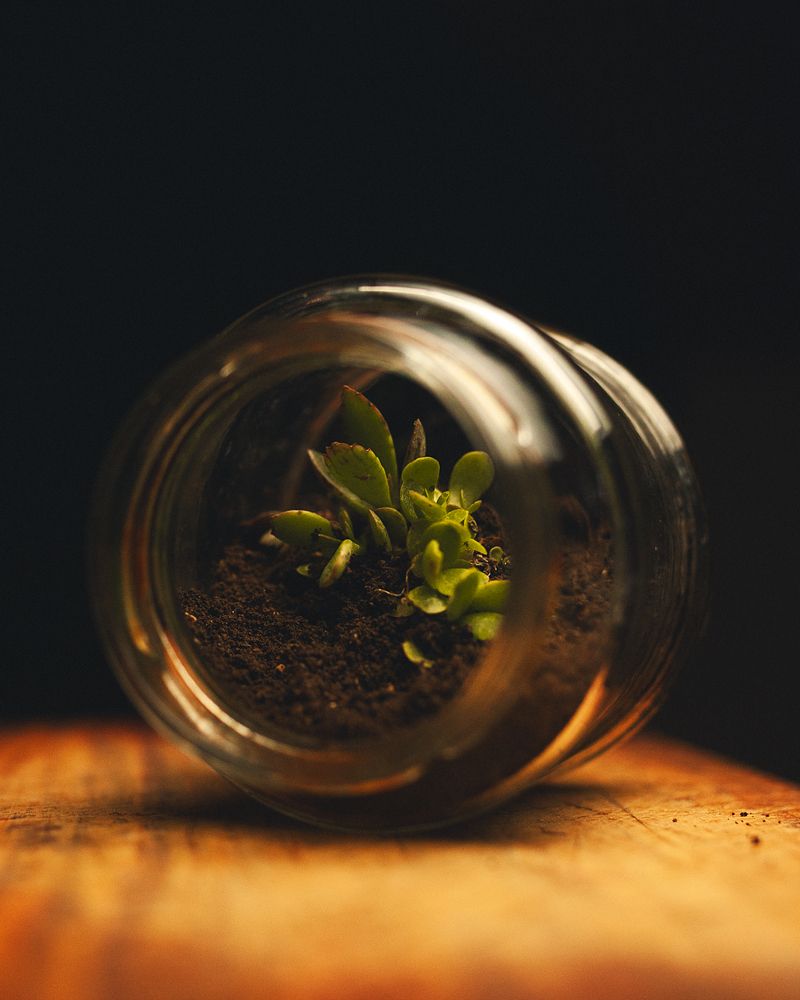 Photograph by Enrique Campos del Arco