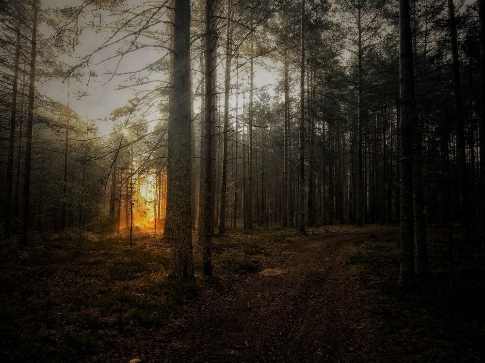 Photograph by Евгений Калагаев