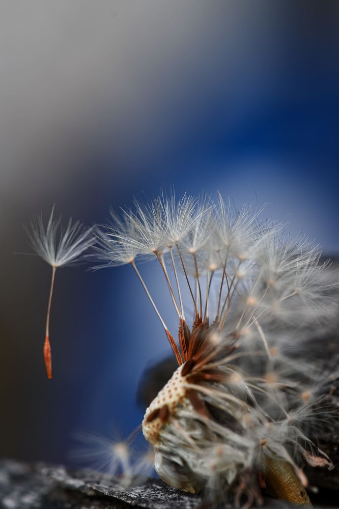 Photograph by Natasa Brkic