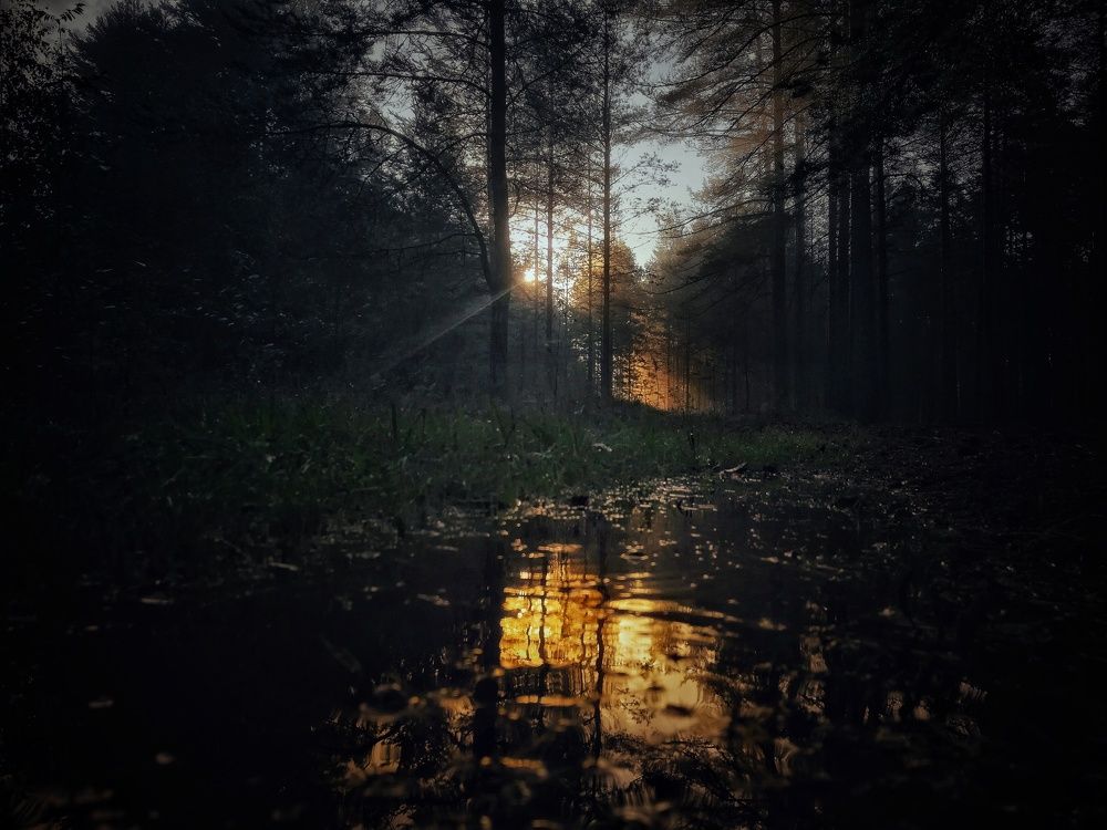 Photograph by Евгений Калагаев