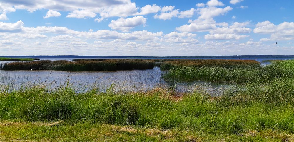 Фотография автора Александра Карпикова