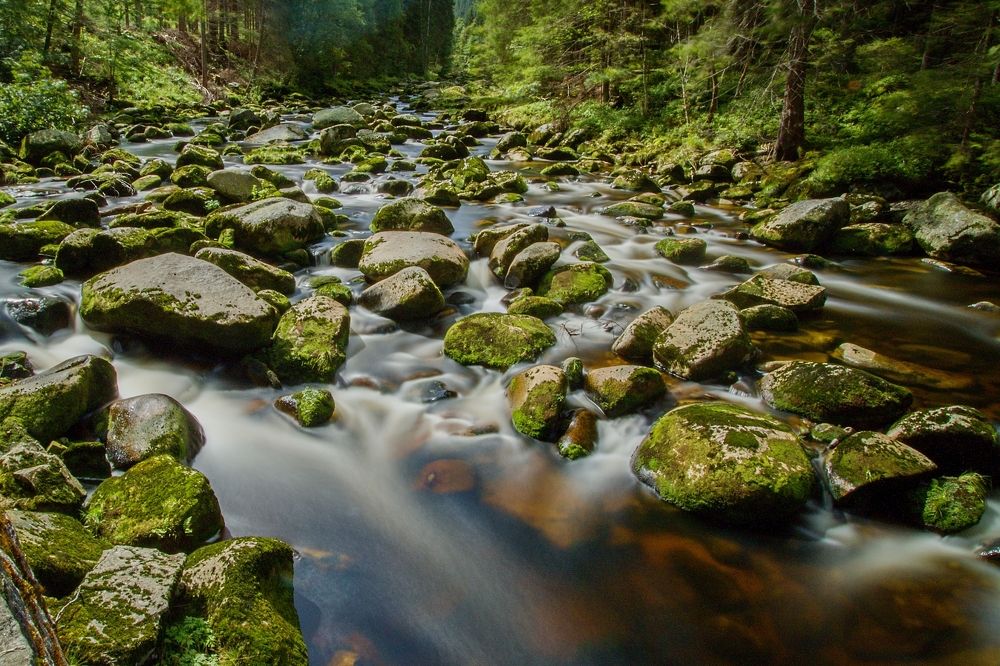 Фотография автора Сергей Довжик