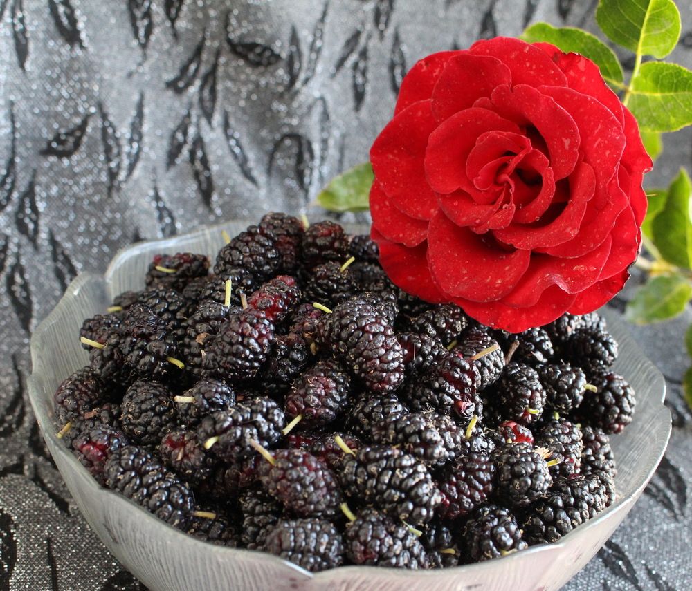 Photograph by Марина Яковлева
