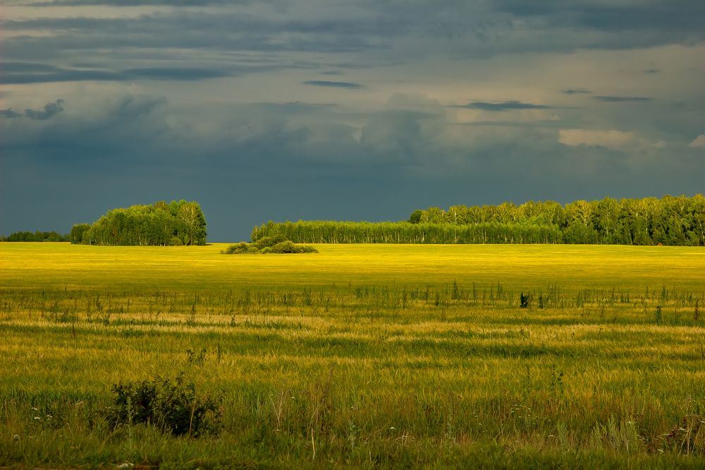 Photograph by Геннадий Федоров