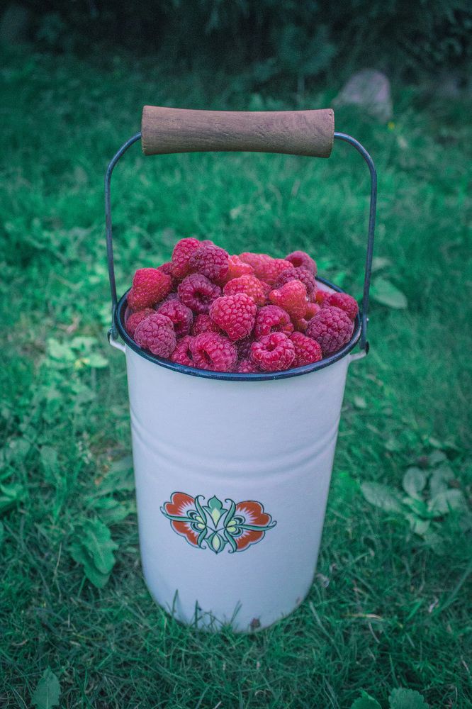 Photograph by Сергей Баранов