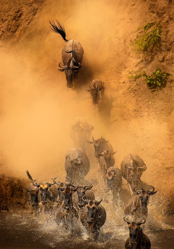 Фотография автора Vishnu Gopal