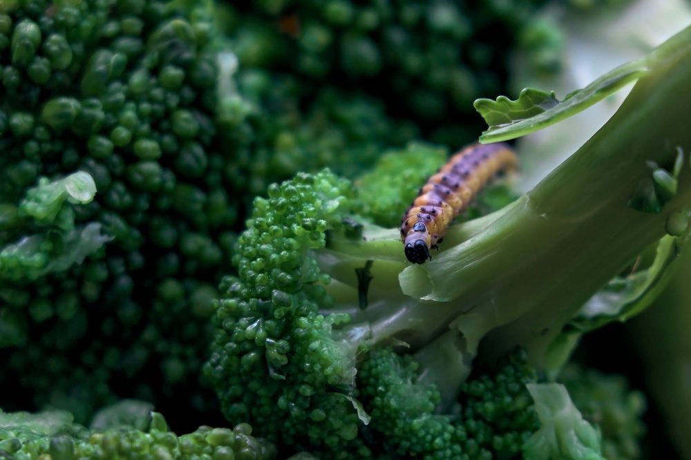 Photograph by Yuliya Khramova