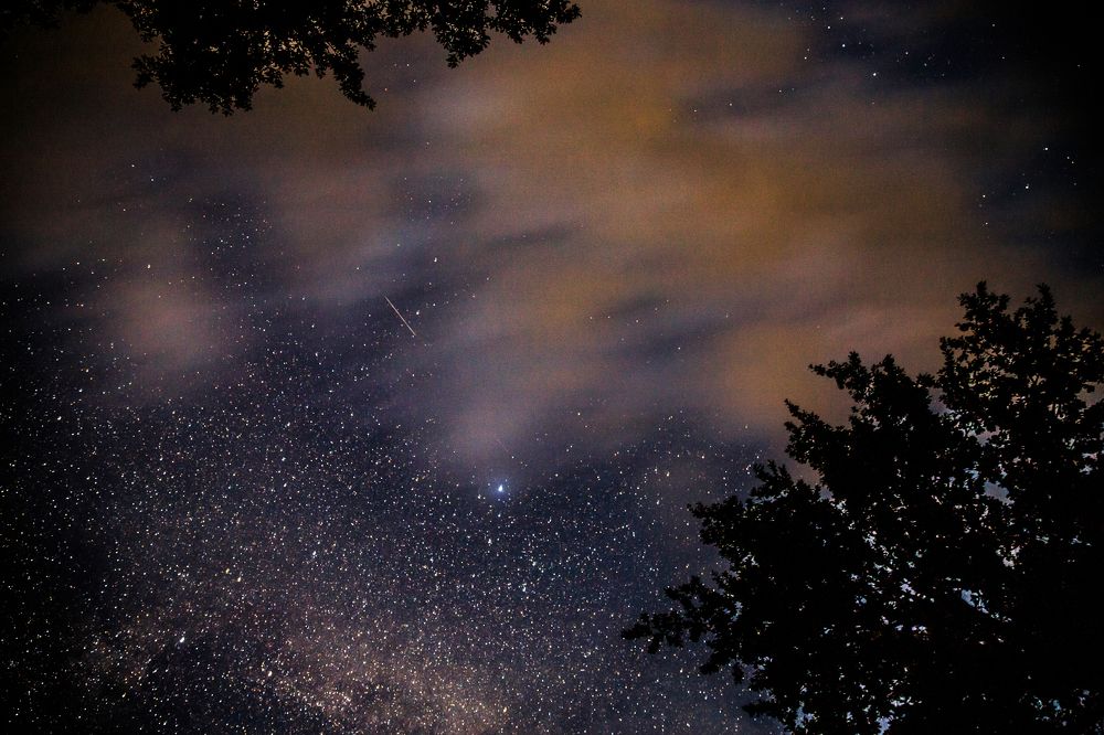 Фотография автора Гудкова Светлана