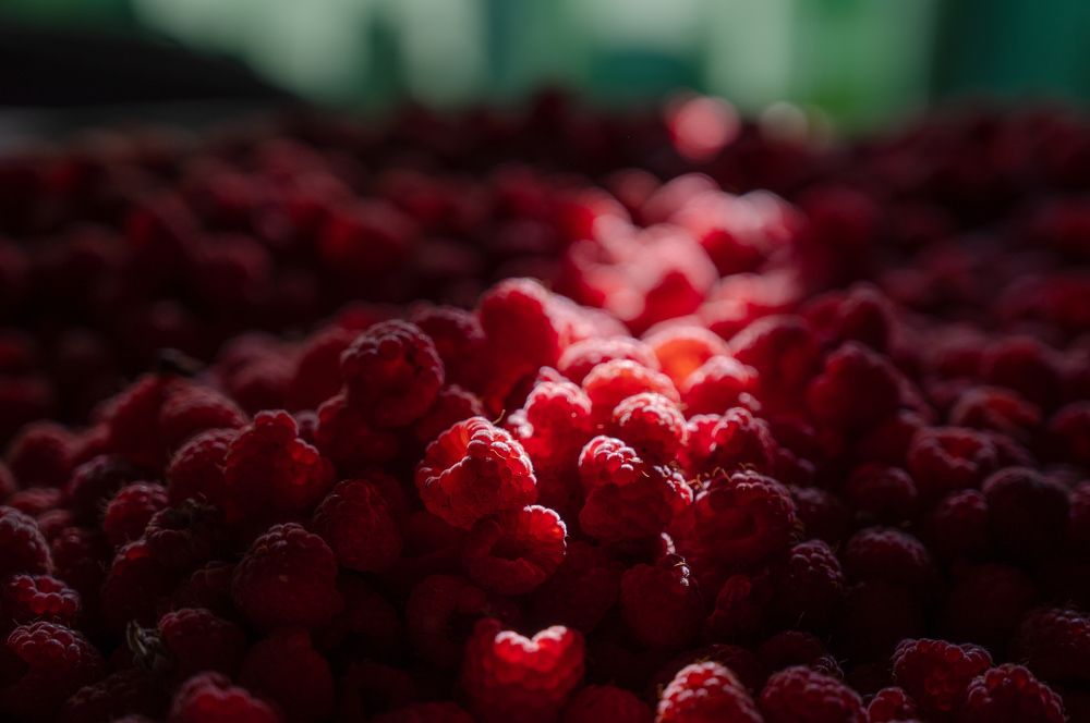 Photograph by Ludmila Stepnova