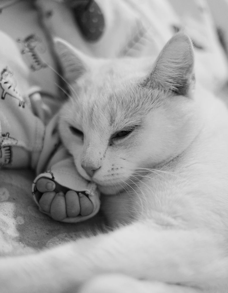 Фотография автора Дарья Воронина