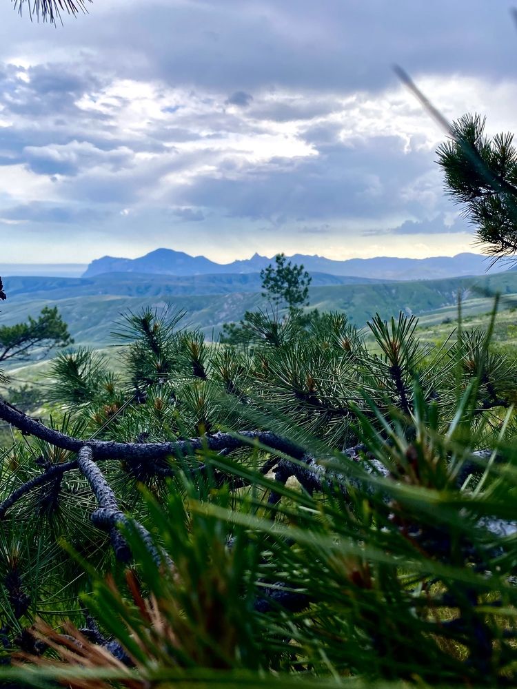 Photograph by Анна