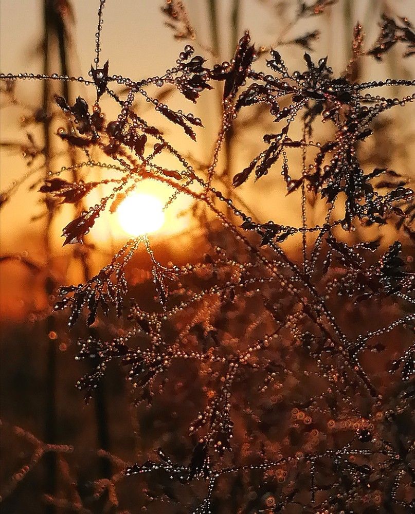 Photograph by Виктор Шубин