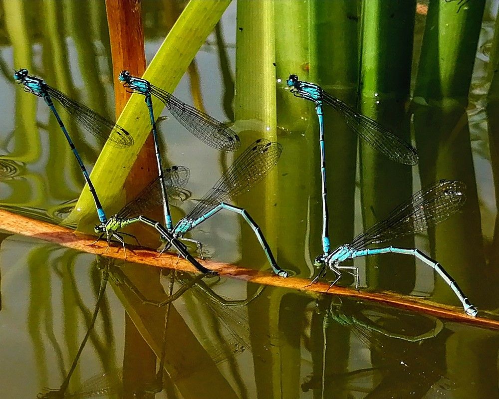 Photograph by Виктор Шубин