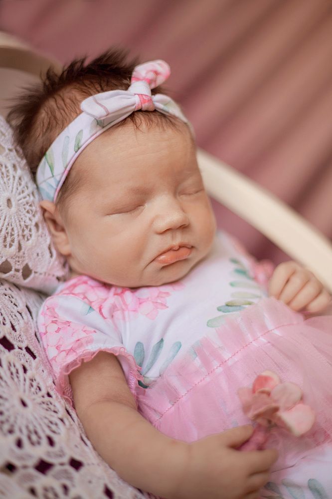 Фотография автора Алена Левина