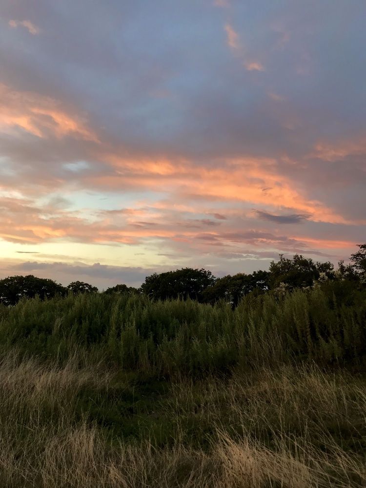 Photograph by Константин Костин