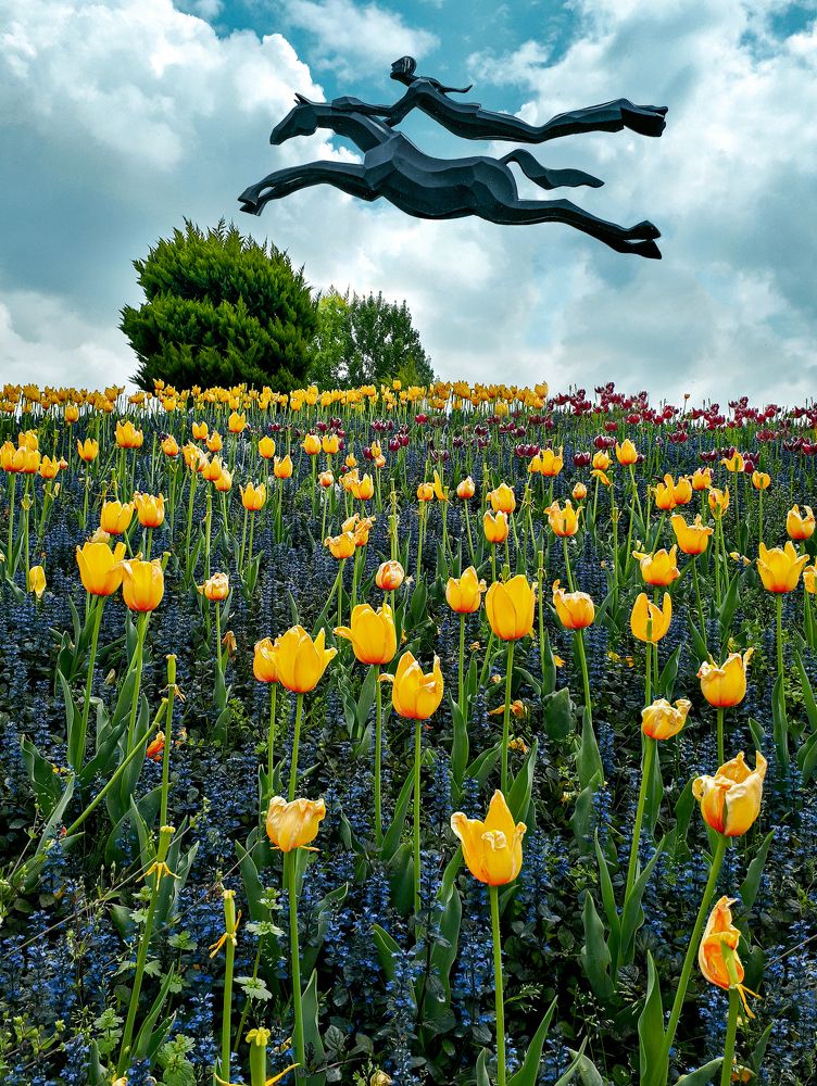 Photograph by Farshad Yazdankhah