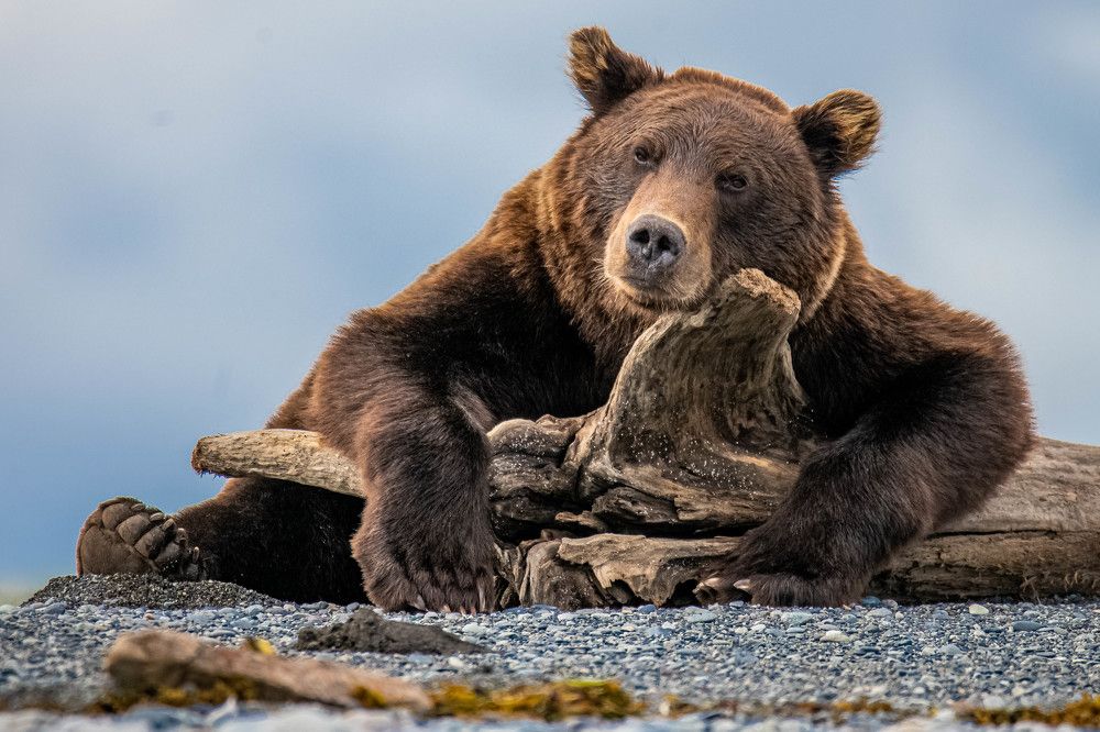 Photograph by Daniel Ryan