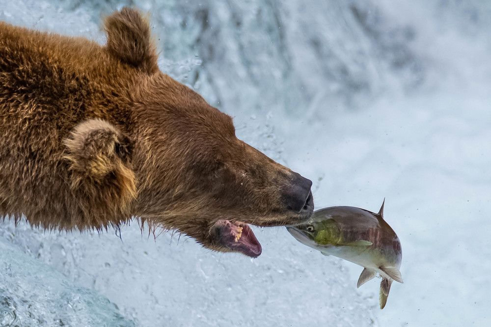 Photograph by Daniel Ryan