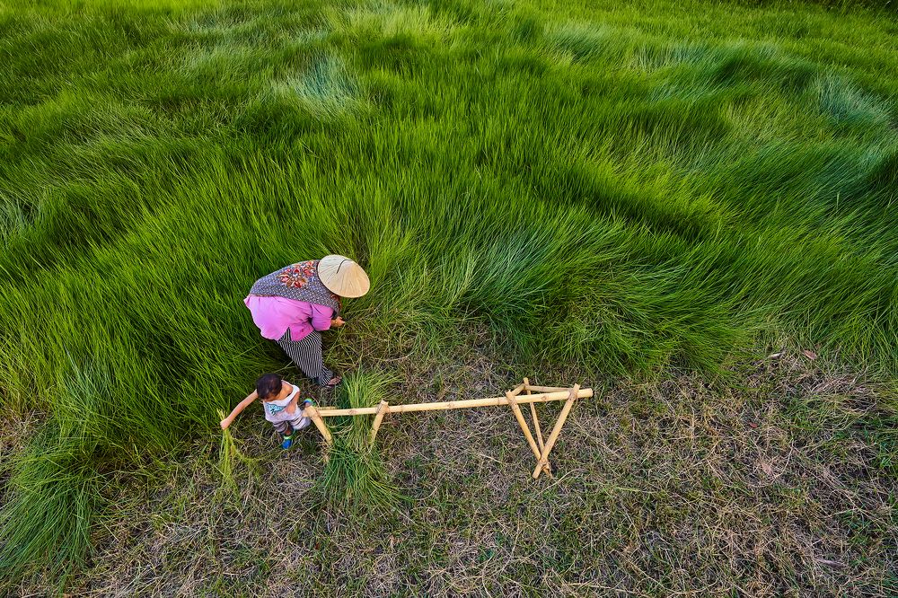 Photograph by muhd isa mamat