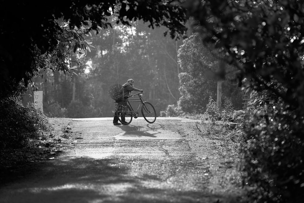 Photograph by muhd isa mamat