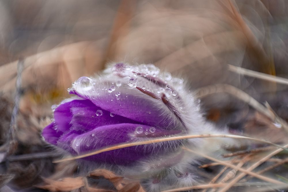 Photograph by Алексей Семенихин