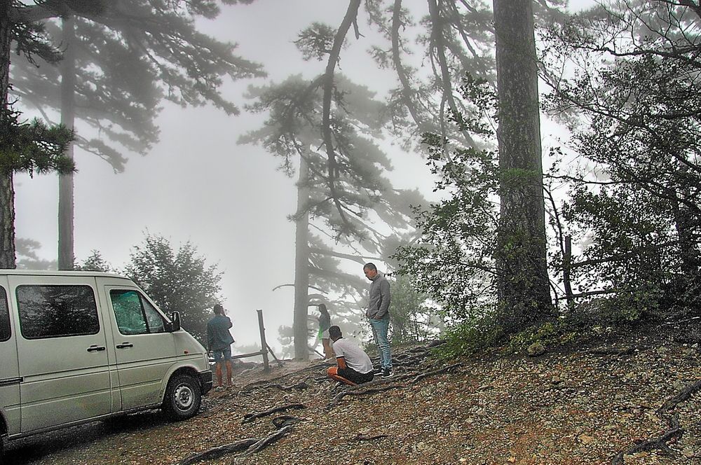 Photograph by Александр Кудрявцев